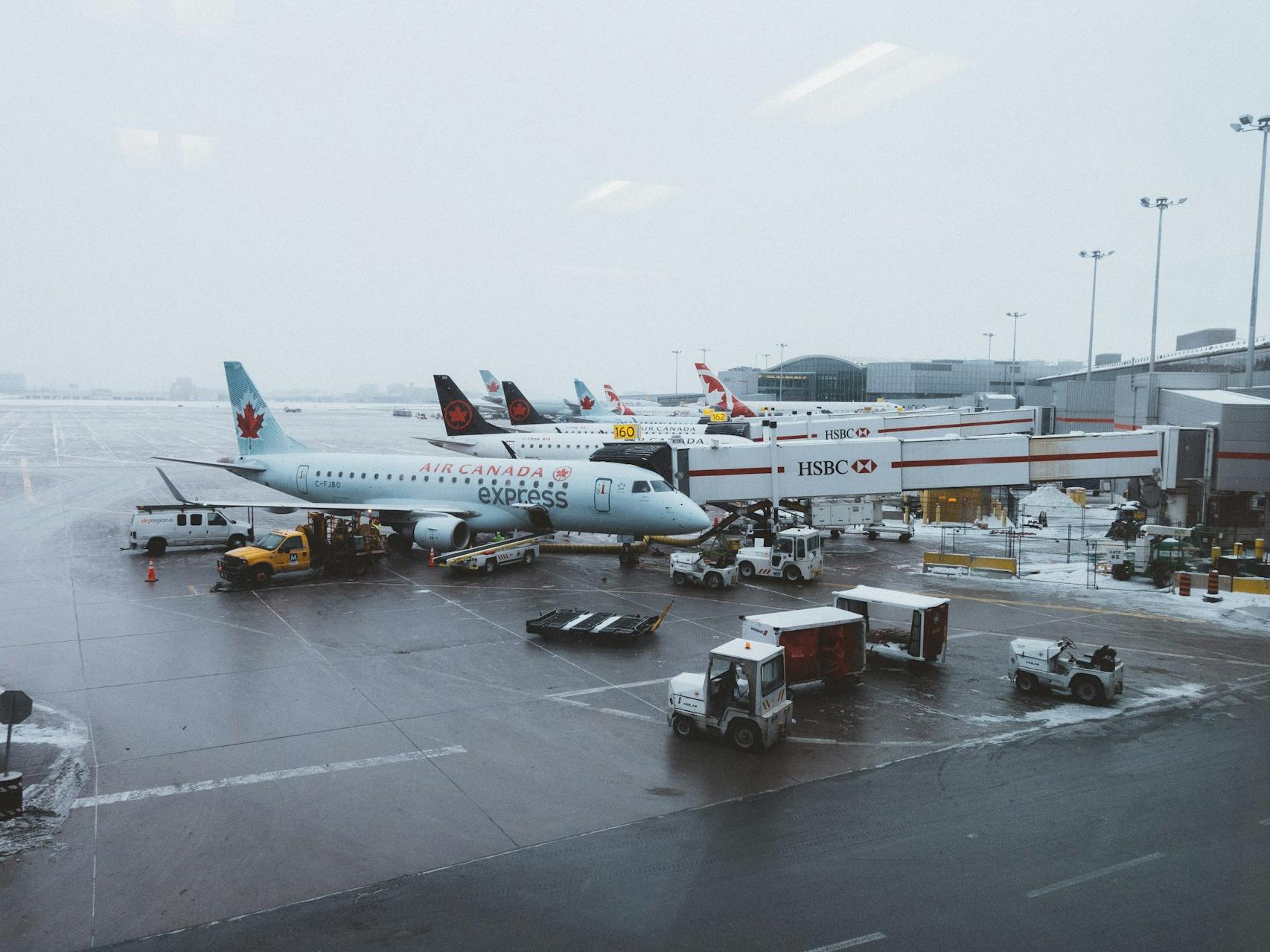 white airlines on gray concrete ground